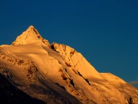 Hillingenblut am Grossglockner