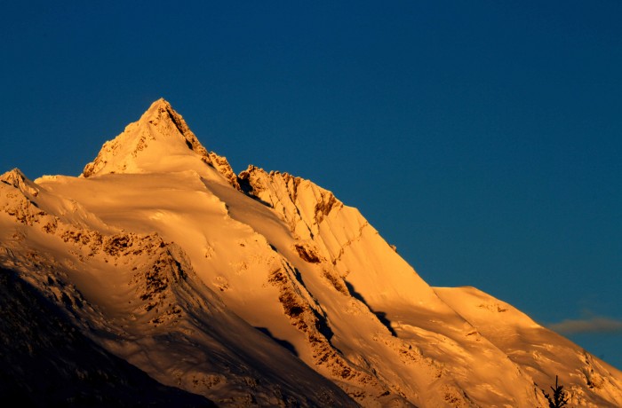 Hillingenblut am Grossglockner