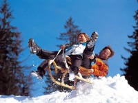 ADVENTURE SLEDDING